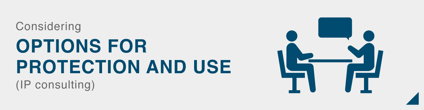 Considering OPTIONS FOR PROTECTION AND USE (IP consulting)