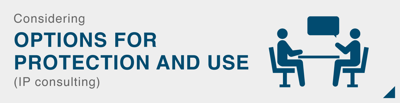 Considering OPTIONS FOR PROTECTION AND USE (IP consulting)